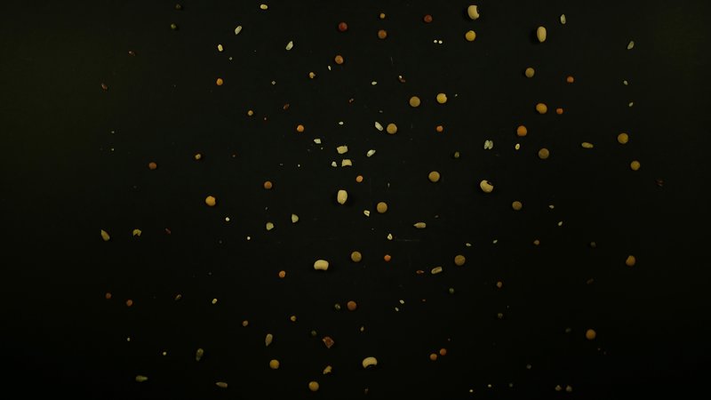 No One Ever Looked At Elephants as You Do