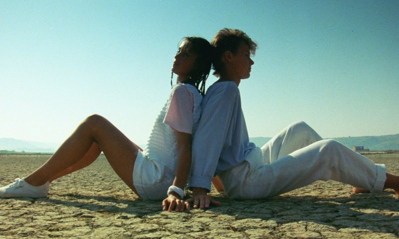 A Summer in a Seashell