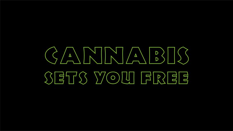Cannabis Sets You Free